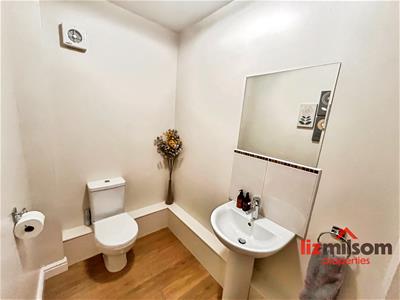 Picture 19